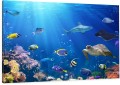 Obraz PODWODNY ŚWIAT OCEAN RYBY canvas na płótnie 