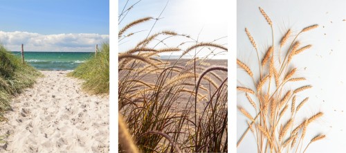 ZESTAW 3 PLAKATÓW W STYLU BOHO PLAŻA ZBOŻE