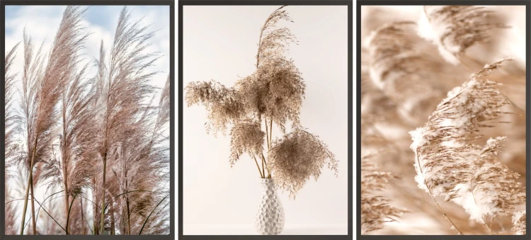 P199,P200,P201.jpg