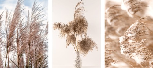 ZESTAW 3 PLAKATÓW OBRAZÓW DO SALONU W STYLU BOHO NATURA