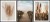 P520,P521,P522.jpg