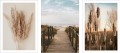 ZESTAW 3 PLAKATÓW BOHO TRAWA POMOST NATURA
