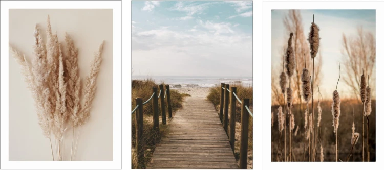 P520,P521,P522r.jpg
