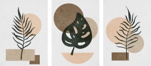 ZESTAW 3 PLAKATÓW DO SALONU NOWOCZESNE ROŚLINY MONSTERA