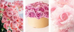 NOWOCZESNE OBRAZY PLAKATY ZESTAW RÓŻE KWIATY