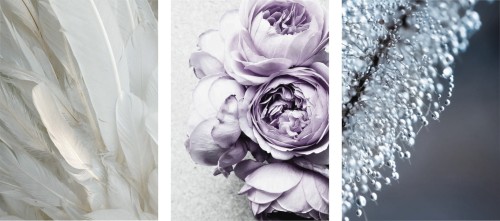 ELEGANCKIE OBRAZY PLAKATY ZESTAW DO SYPIALNI ROSA KWIATY