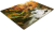 D13.png