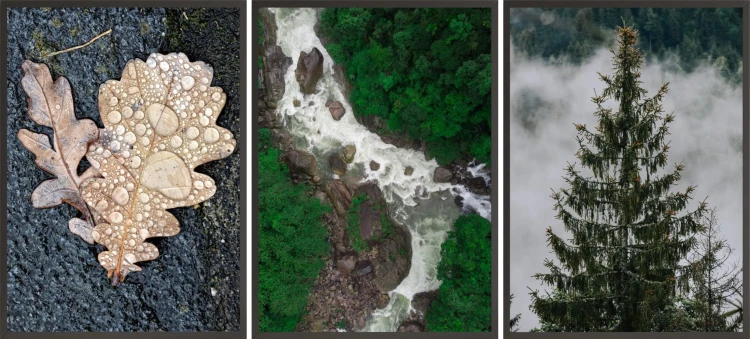 P145,P146,P147.jpg