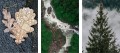 OBRAZY DEKORACYJNE PLAKATY ZESTAW NATURA POTOK LAS