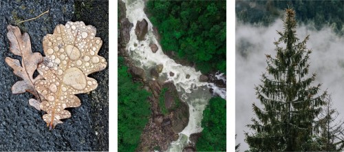 OBRAZY DEKORACYJNE PLAKATY ZESTAW NATURA POTOK LAS