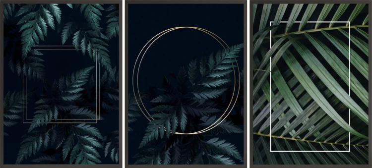 P505,P506,P507.jpg
