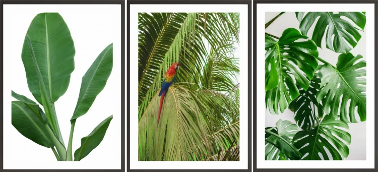P535,P536,P537.jpg