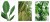 P535,P536,P537r.jpg