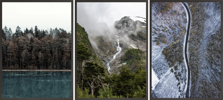 P205,P206,P207.jpg