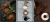 P478,P479,P480.jpg