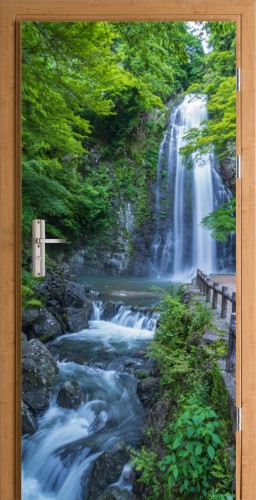 FOTOTAPETA OKLEINA NA DRZWI WODOSPAD NATURA LAS 