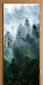 NAKLEJKA NA DRZWI OKLEINA LAS NATURA MGŁA