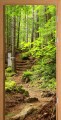 FOTOTAPETA OKLEINA NA DRZWI leśna droga natura las