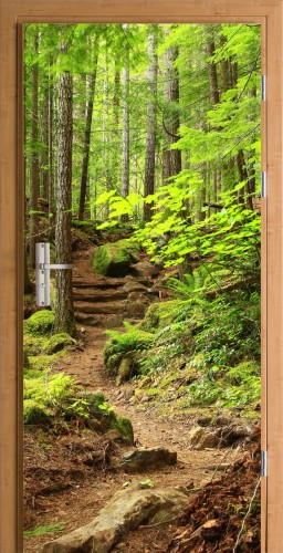 FOTOTAPETA OKLEINA NA DRZWI leśna droga natura las