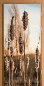Naklejka na drzwi samoprzylepna styl boho natura zboże