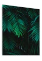 OBRAZ SZKLANY DO SALONU LIŚCIE PAPROCIE DŻUNGLA