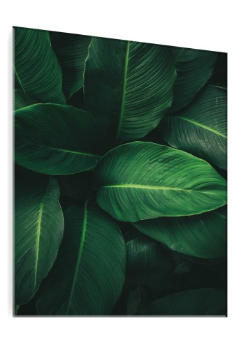 OBRAZ SZKLANY DO SALONU LIŚCIE BANANOWCA DŻUNGLA