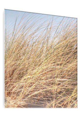 OBRAZ SZKLANY DO SALONU SUCHA WYSOKA TRAWA 
