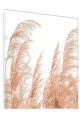 OBRAZ SZKLANY DO SALONU TRZCINA BEŻOWA NA BIAŁYM TLE