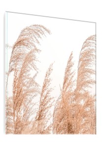 OBRAZ SZKLANY DO SALONU TRZCINA BEŻOWA NA BIAŁYM TLE