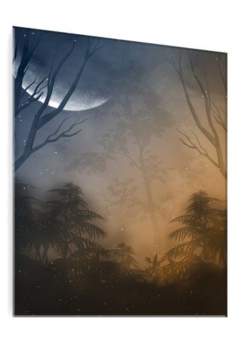 OBRAZ SZKLANY DO SALONU LAS JAK MALOWANY KSIĘŻYC NOC 
