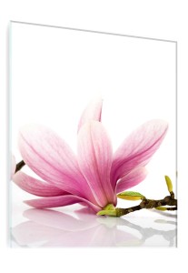 OBRAZ SZKLANY DO SALONU RÓŻOWE MAGNOLIE KWIATY