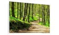 OBRAZ SZKLANY DO SALONU ZIELONY WIOSENNY LAS SCIEŻKA 