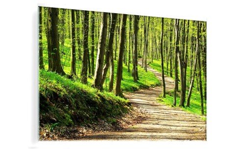 OBRAZ SZKLANY DO SALONU ZIELONY WIOSENNY LAS SCIEŻKA 