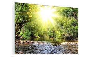 OBRAZ SZKLANY DO SALONU ZIELONY LAS RZEKA POTOK