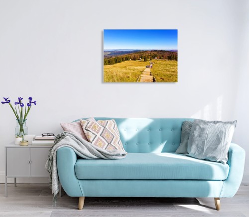 P1307_wiz1.jpg