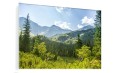 OBRAZ SZKLANY DO SALONU GÓRY LAS ZIELEŃ 