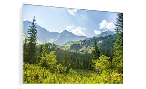 OBRAZ SZKLANY DO SALONU GÓRY LAS ZIELEŃ 