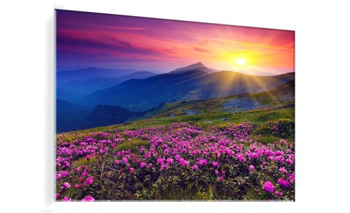 OBRAZ SZKLANY DO SALONU GÓRY KWIATY ŁĄKA WSCHÓD SŁOŃCA MGŁA