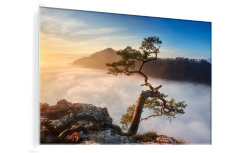 OBRAZ SZKLANY DO SALONU GÓRY SOKOLICA DRZEWOSOSNA CHMURY