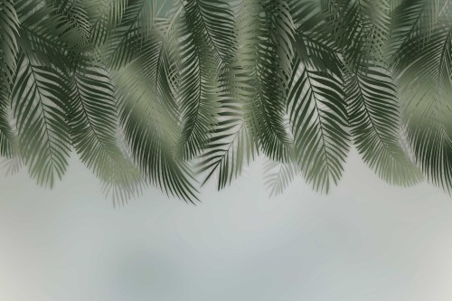 wst-038.jpg