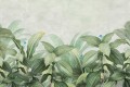 FOTOTAPETA DO SALONU SYPIALNI ZIELONE TROPIKALNE ROŚLINY LIŚCIE