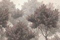 FOTOTAPETA DO SALONU SYPIALNI DRZEWA NATURA