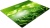 F13.png