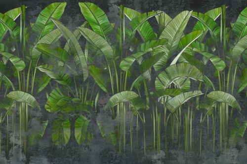 FOTOTAPETA DO SALONU SYPIALNI LIŚCIE BANANOWCA