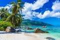 FOTOTAPETA DO SALONU SYPIALNI TROPIKI PLAŻA OCEAN PALMY