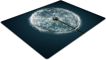 F32.png