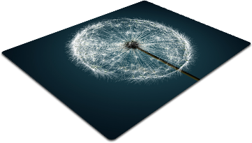 F32.png
