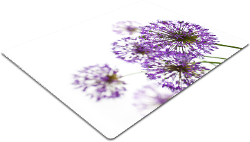F34.png