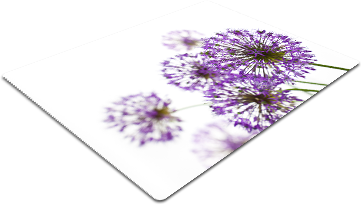 F34.png