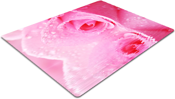 F37.png